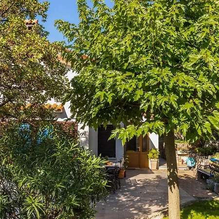Apartment Ines